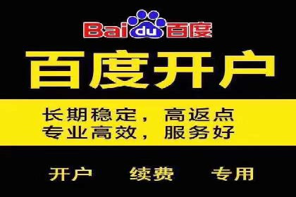 低成本高回报：百度包年竞价实战技巧揭秘