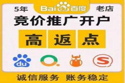 精准投放：SEM推广的技巧与案例